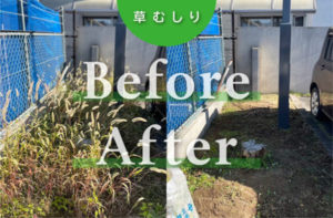 駐車場の草むしりを行いました！