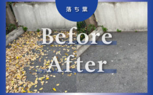 木枯らし１号！落ち葉を綺麗に！